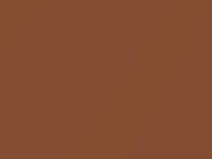 BMW All Models Topaz Brown Metallic 1979 13