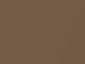 Subaru All Models Gracious Brown 1977 75