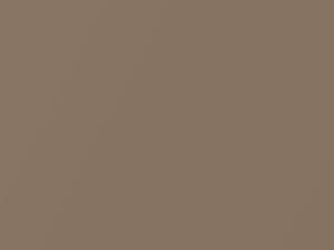 Ford All Models Medium Fawn Metallic 1981 55, M5729A