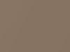 Ford All Models Medium Fawn Metallic 1981 55, M5729A