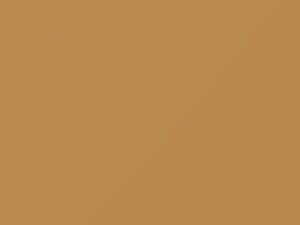 Plymouth All Models Light Caramel Tan 1981 AY69VT5, VT5