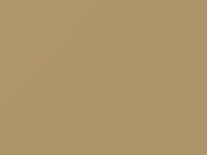 Chrysler All Models Designer Beige/Gatsby Tan 1979 AY69SL2, SL2