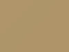 Chrysler All Models Designer Beige/Gatsby Tan 1979 AY69SL2, SL2