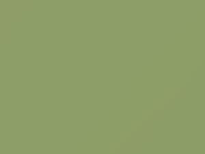 Mazda All Models Willow Green 1971 EB