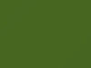 Mazda All Models Muscat Green 1977 FP
