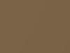 AMC All Models Yuma Tan Metallic 1967 P36A