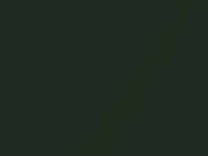 Buick All Models Consitutional Green Metallic/Verde Mist Metallic 1975 4634, 49, WA4634