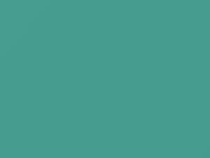 Ford All Models Tropical Turquoise 1965 M1732A, O