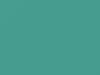 Ford All Models Tropical Turquoise 1965 M1732A, O