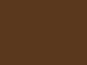 Dodge All Models Dark Tan Metallic 1971 AY2GT8, T8
