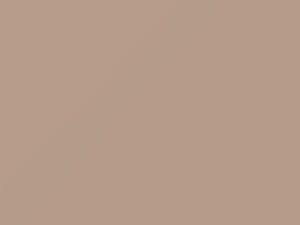 Fiat All Models Fossil White 1976 292 - Scratch Repair