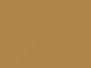 Cadillac All Models Sonora Tan 1977 4891, 61, WA4891 - Scratch Repair