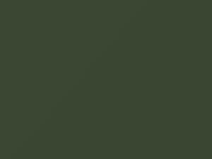 Mazda All Models Vari Green 1971 EA