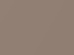 Isuzu All Models Light Brown Metallic 1984 2155P1