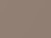 Isuzu All Models Light Brown Metallic 1984 2155P1