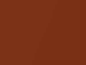 Buick All Models Burnt Coral Metallic 1973 4445, 65, WA4445