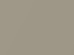 Cadillac All Models Mirage Taupe Metallic 1973 4319, 64, WA4319 - Scratch Repair