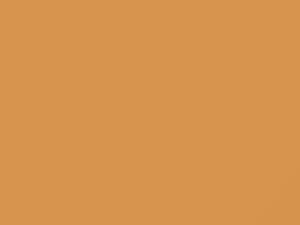 Ford All Models Light Tan 1977 8H, M5470A