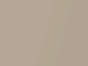 Oldsmobile All Models Burnished Gold Metallic 1970 3973, 58, WA3973 - Scratch Repair