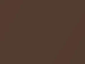 AMC All Models Dark Cocoa Metallic 1975 H4 - Scratch Repair