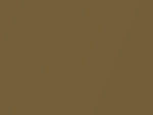 Buick All Models Embassy Gold Metallic 1969 3925, 75, WA3925 - Scratch Repair