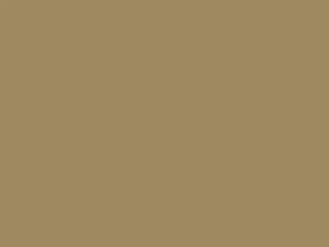 Chrysler All Models Classic Gold Metallic 1969 AY2EY4, Y4