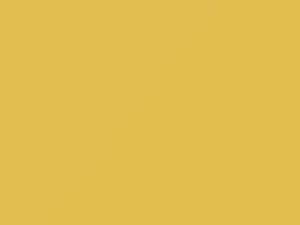 Isuzu All Models Primrose Yellow 1988 2172P1, 827