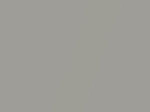 Dodge All Models Medium Silver Metallic 1982 AA4, AY70AA4