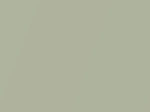 Oldsmobile All Models Ming Jade Metallic 1970 4049, 46, WA4049 - Scratch Repair