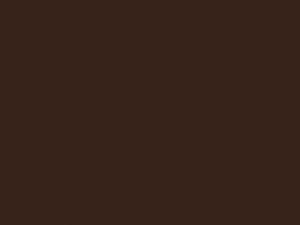 Capri All Models Brown Metallic 1976 S6