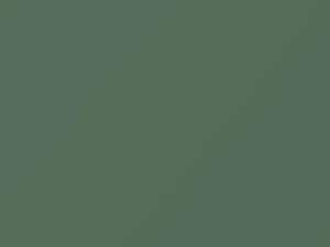 Chrysler All Models Sage Green 1956 316