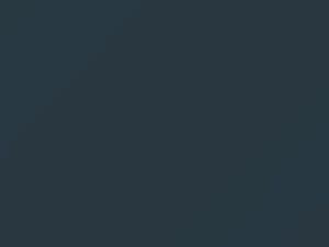 Volkswagen All Models Dove Blue 1959 L31