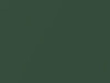 AMC All Models Westchester Green Metallic 1960 P18
