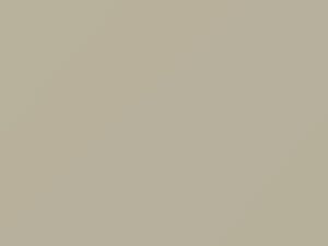 Dodge All Models Driftwood Gray 1981 AY69VD1, VD1 - Scratch Repair