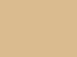 Saab All Models Coral White 1977 W02H - Scratch Repair