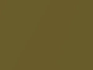 Buick All Models Green Gold Metallic 1973 4324, 46, WA4324
