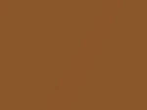 Chevrolet All Models Camel Tan Metallic 1978 63, 7026, WA7026 - Scratch Repair