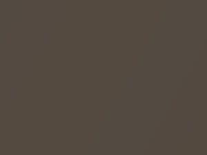 Chevrolet All Models Dark Brown Metallic 1981 67, 7447, WA7447