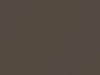 Chevrolet All Models Dark Brown Metallic 1981 67, 7447, WA7447