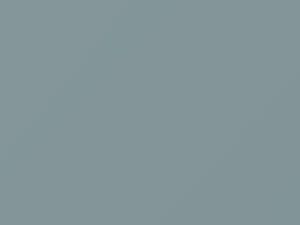 Volkswagen All Models Bermuda Gray 1966 L288