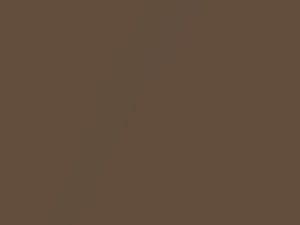 Buick All Models Medium Camel Metallic 1980 69, 7137, WA7137