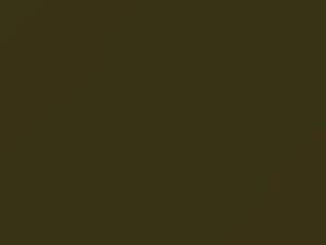 Toyota All Models Olive Green 1977 637