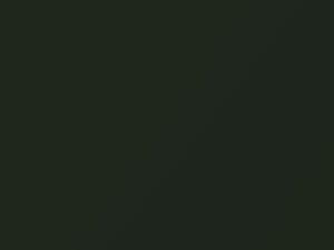 Chrysler All Models Dark Emerald Green Metallic 1969 AY2EF9, F9