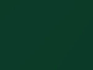 Ford All Models Dark Emerald Metallic 1977 M5489C