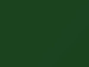 Nissan All Models Green/Kelly Green 1977 940