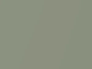 Ford All Models Ivy Glow Metallic 1974 M5396A, N