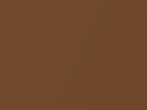 Dodge All Models Dark Tan Metallic 1970 AY2FT6, T6 - Scratch Repair