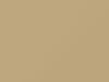 Chrysler All Models Designer Cream/Gatsby Cream 1979 AY69SL1, SL1