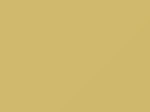 Saab All Models Florentine Yellow 1987 188B