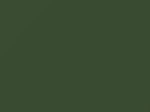 Dodge All Models Light Green 1973 DT7687 - Scratch Repair